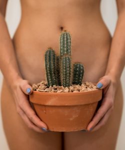 bikinizone-haarentfernung-derkokon-intimbereich